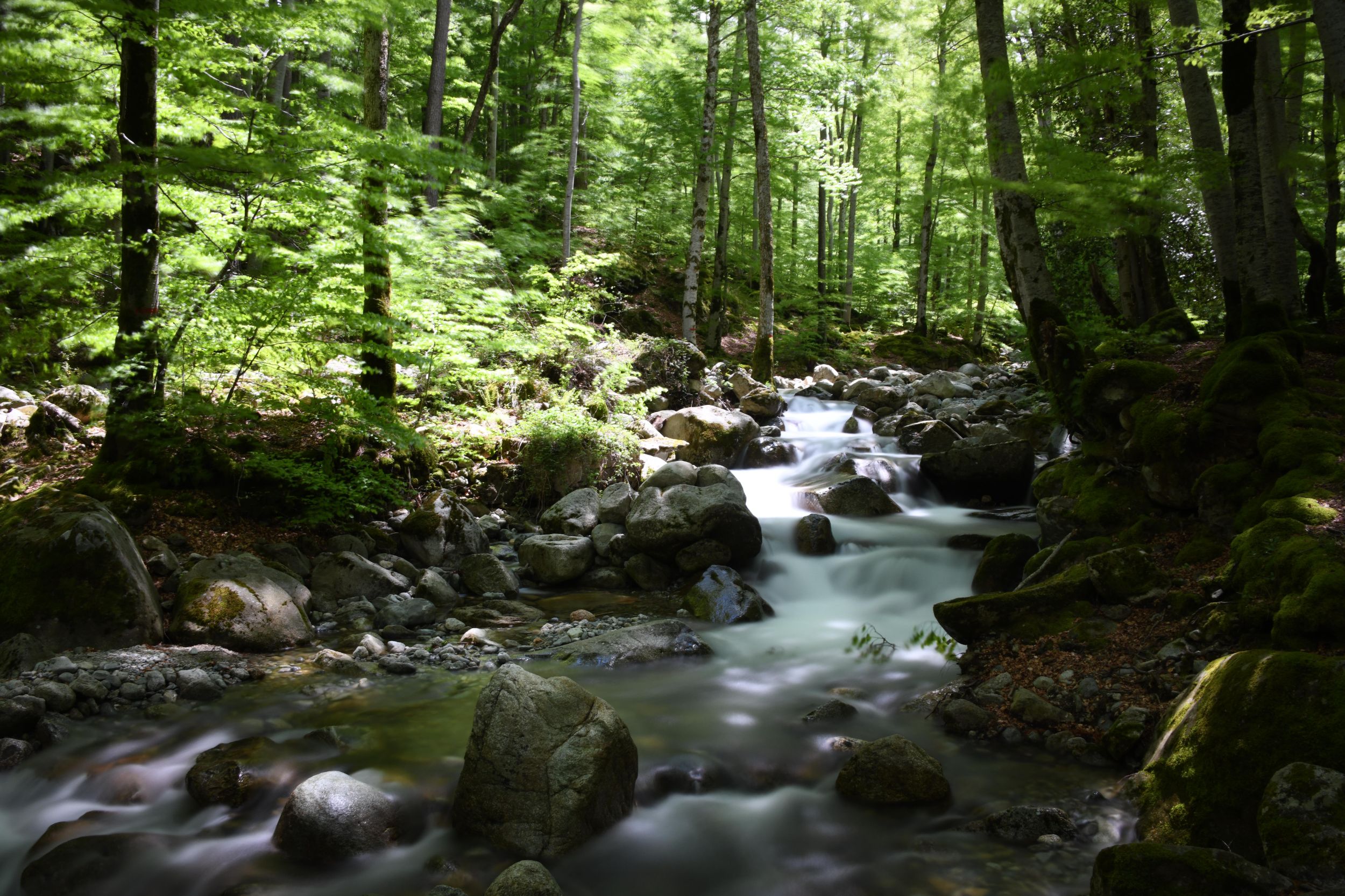 Étape 10 - Vizzavona - E Capanelle